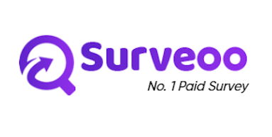 surveoo.com