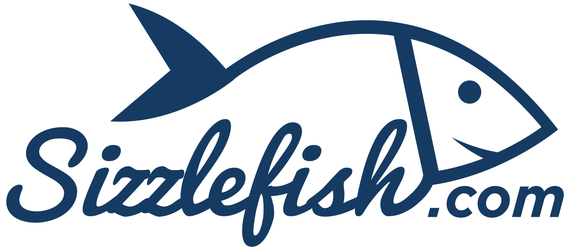 sizzlefish.com