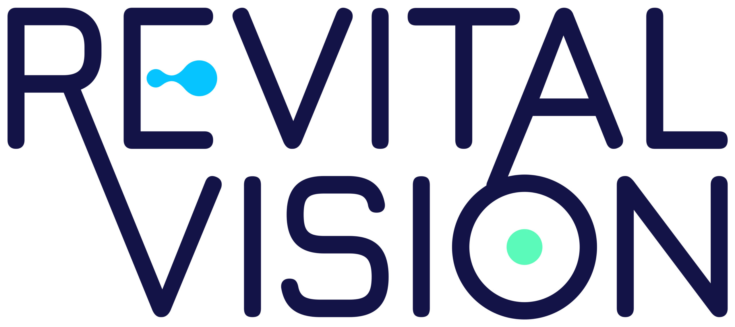 revitalvision.com