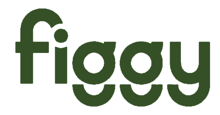 figgyplay.com