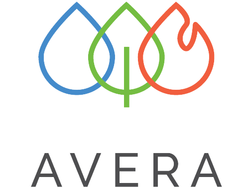 avera.mx