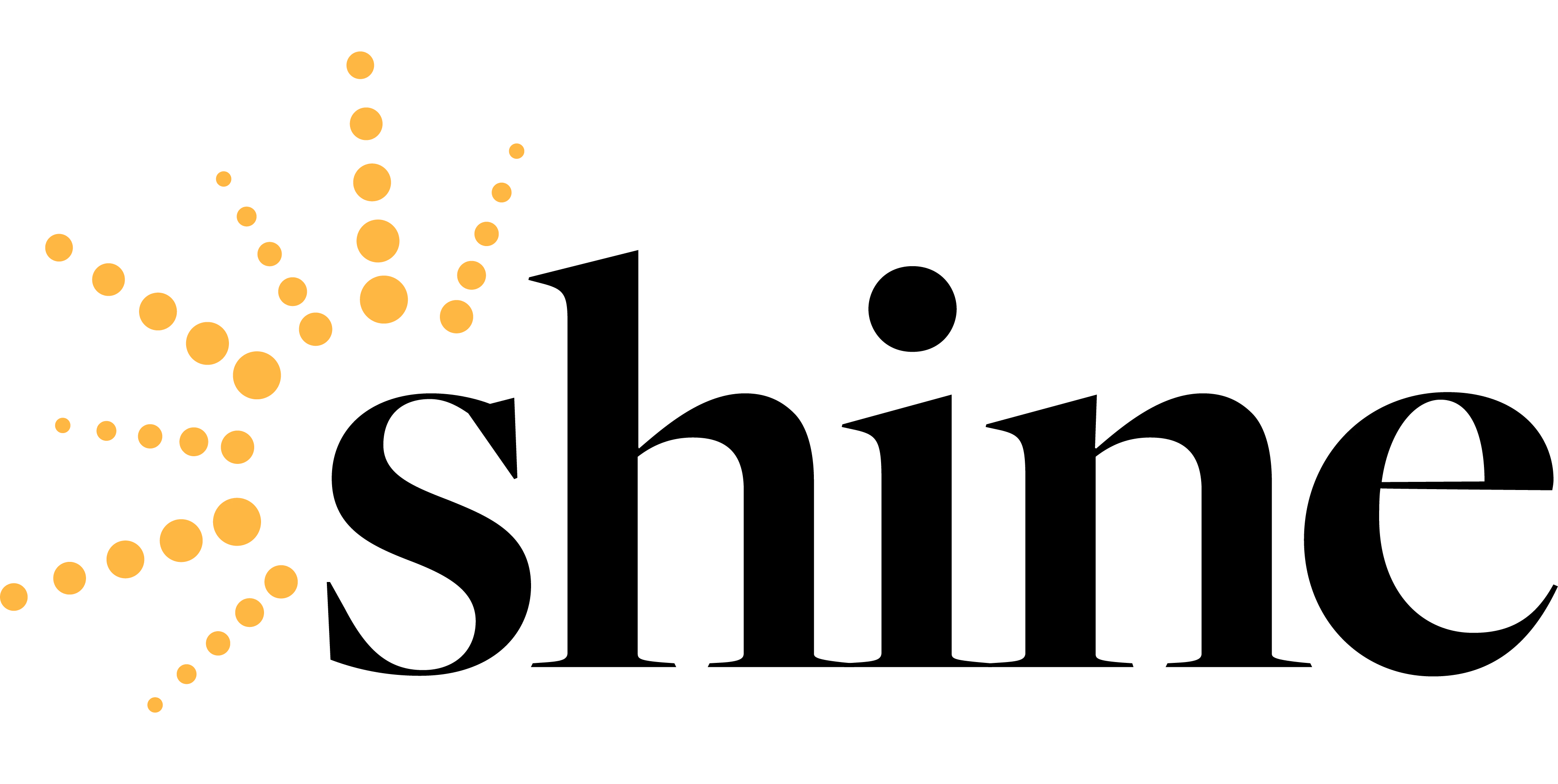 shinecommerce.com