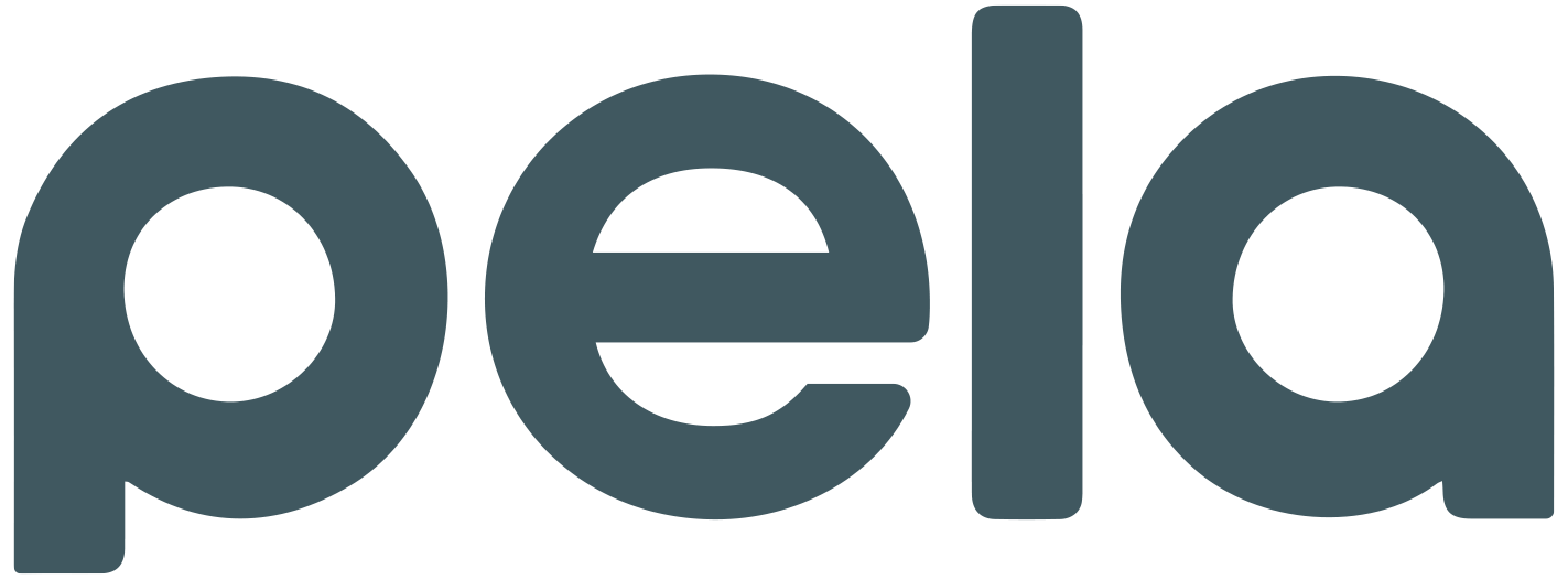 pelacase.com