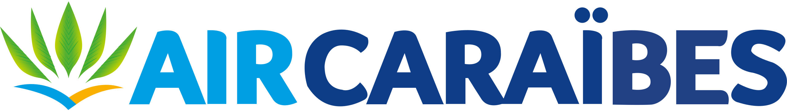 aircaraibes.com