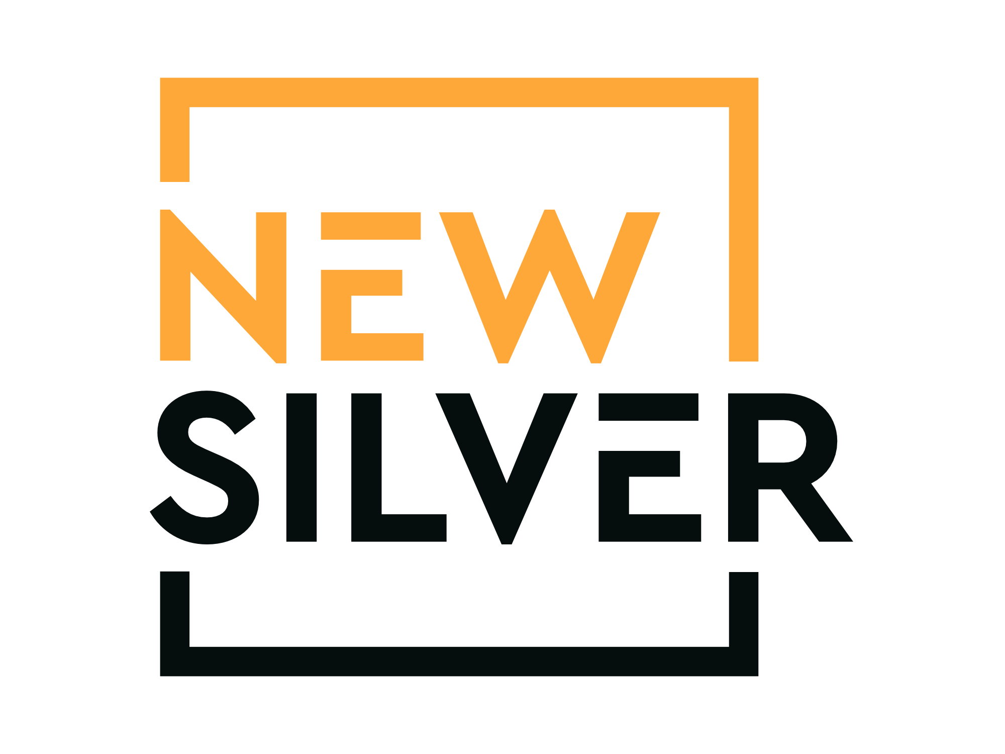 newsilver.com