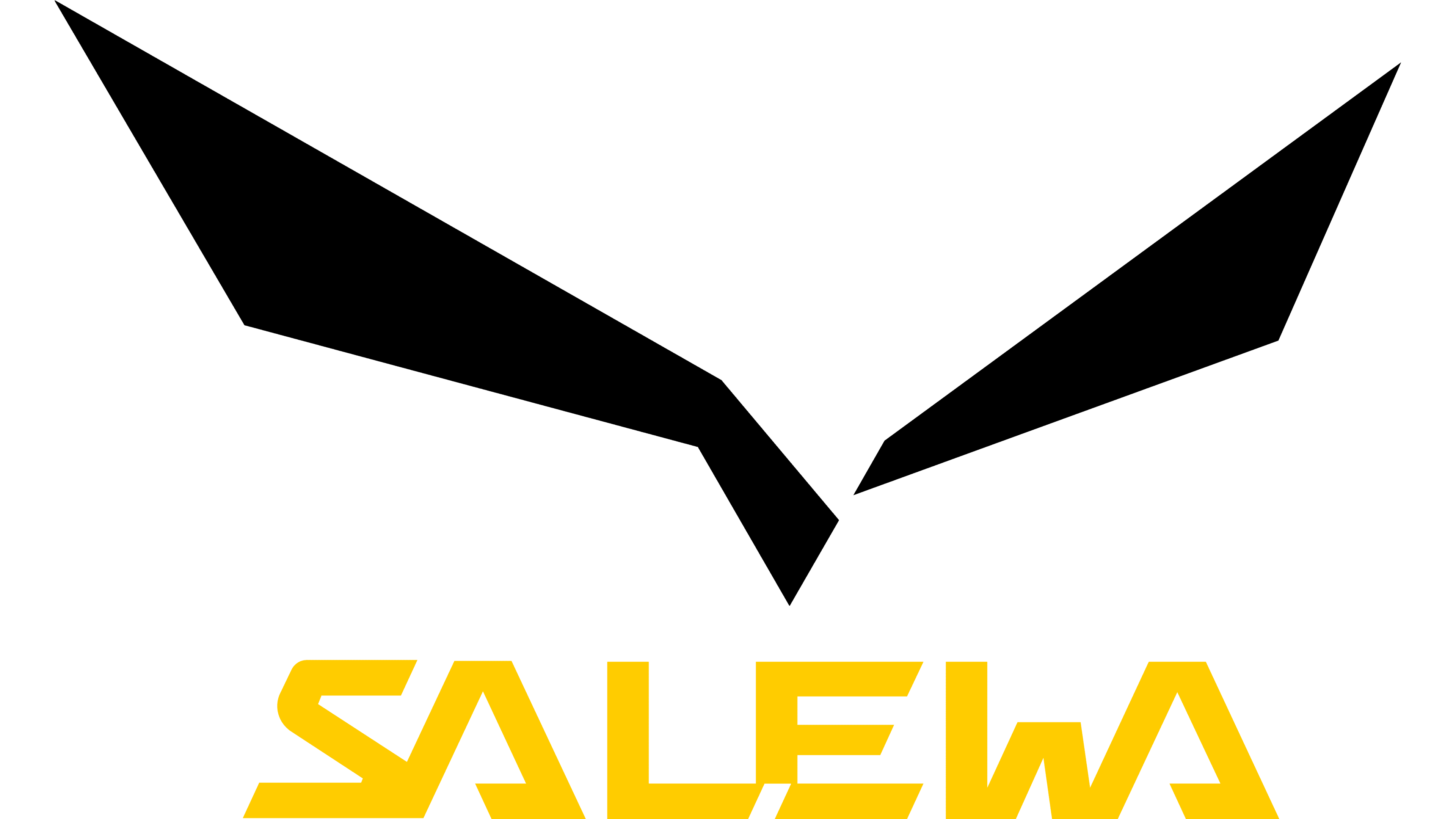 salewa.com