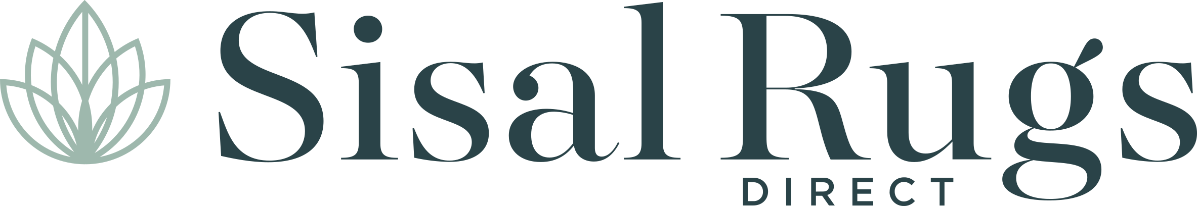 sisalrugs.com