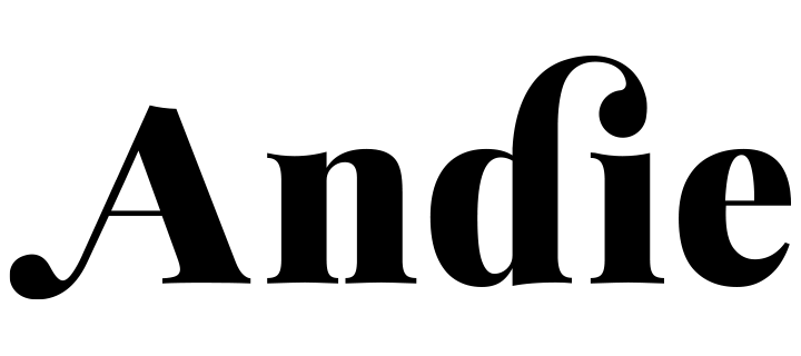 andieswim.com