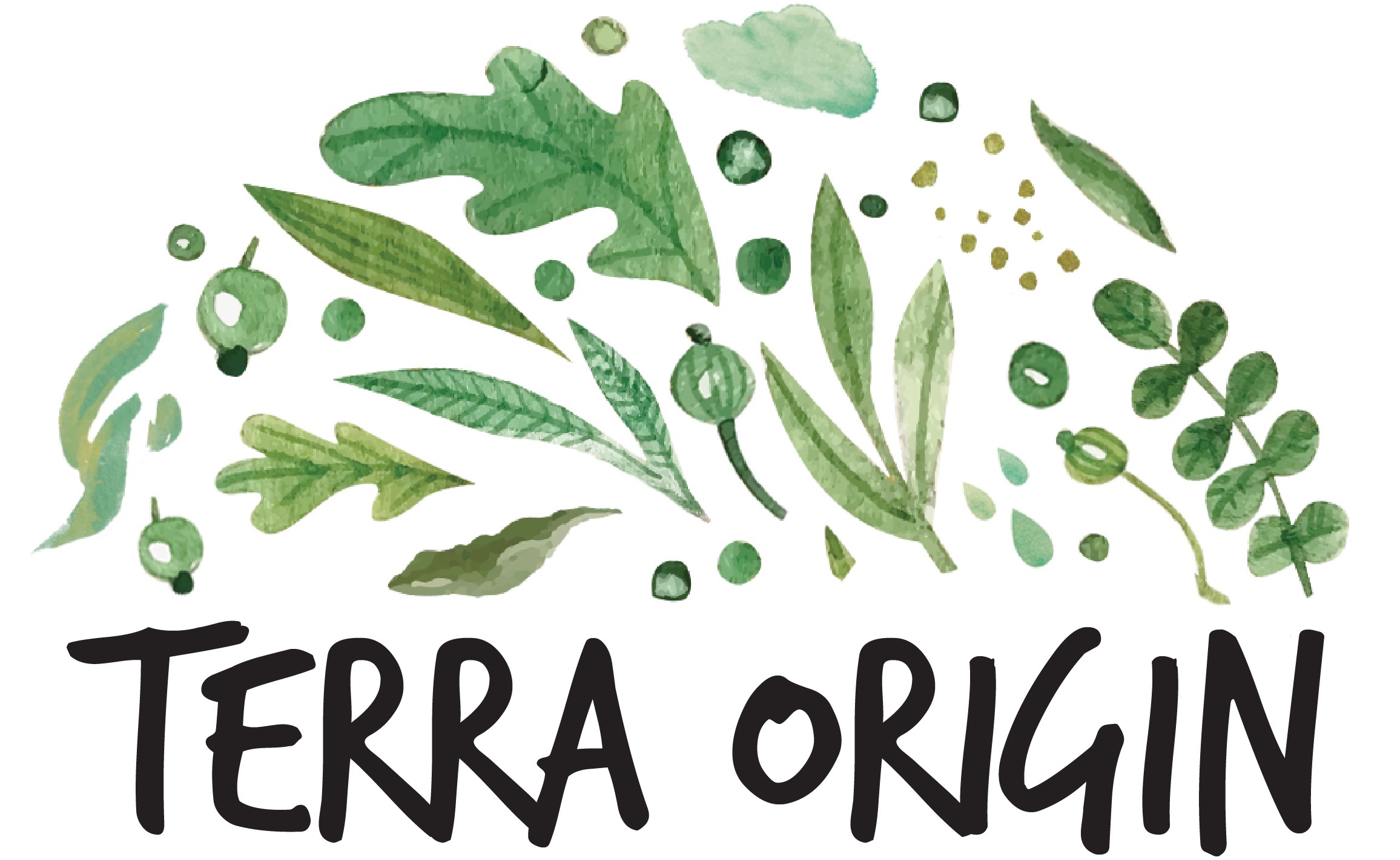 terraorigin.com