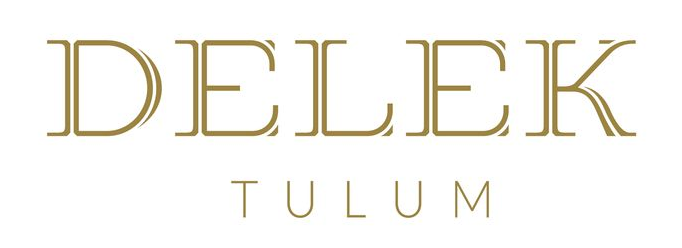 delektulum.com