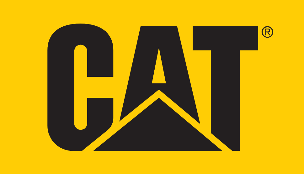catfootwear.com