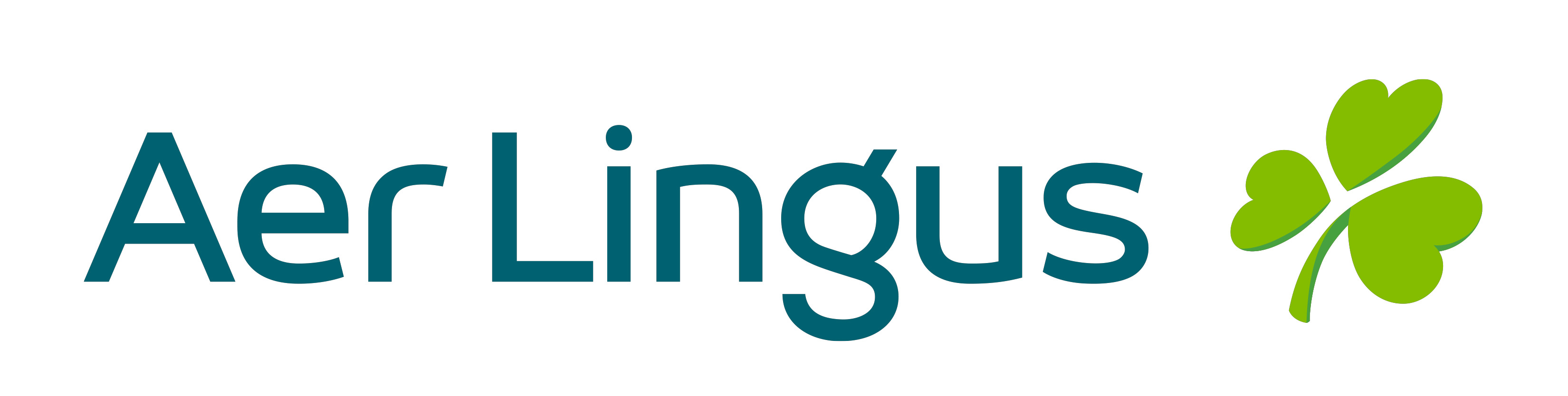 aerlingus.com