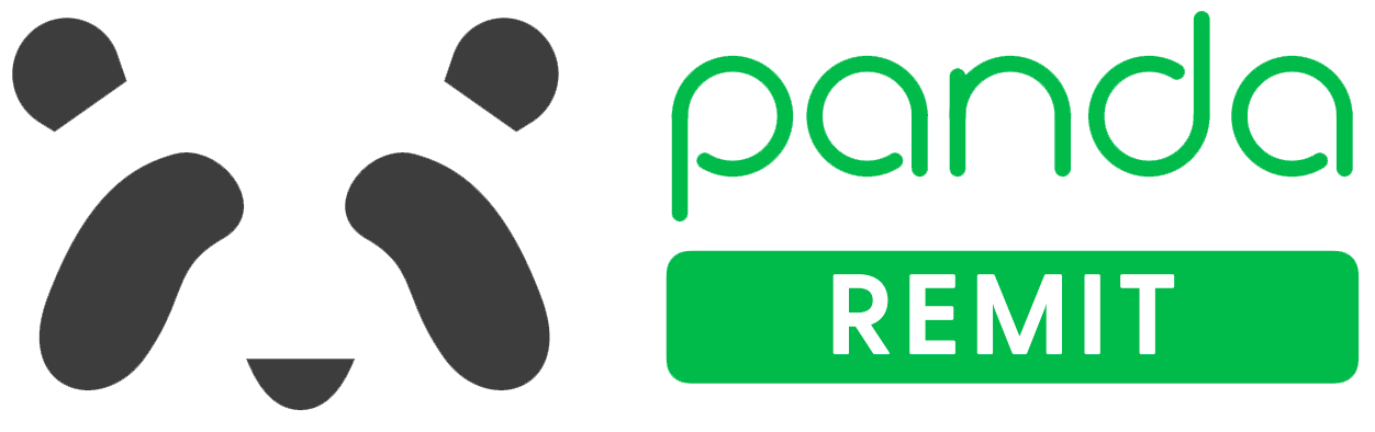 pandaremit.com