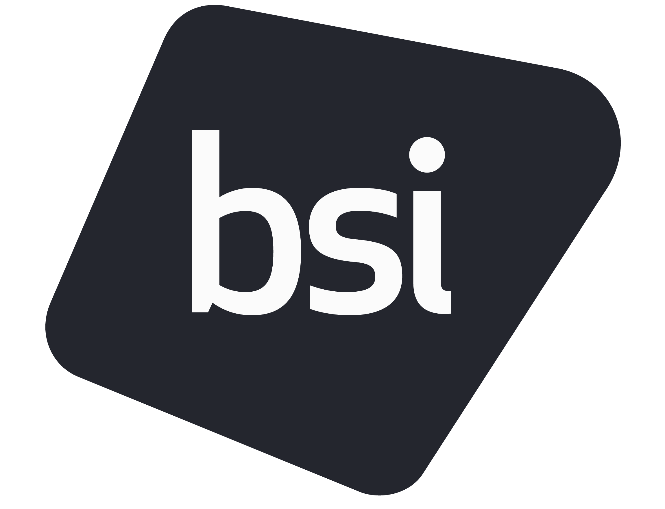 bsigroup.com
