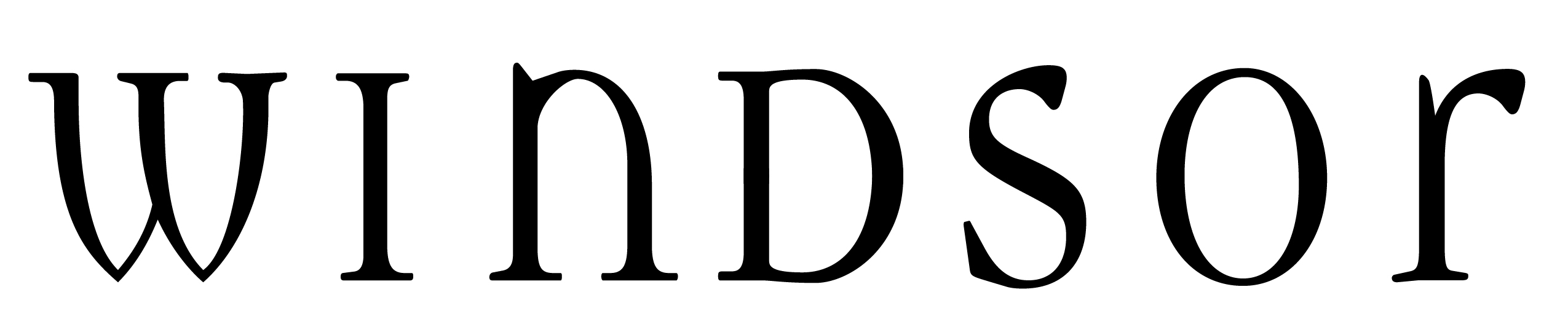windsorstore.com