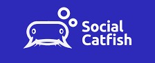 socialcatfish.com