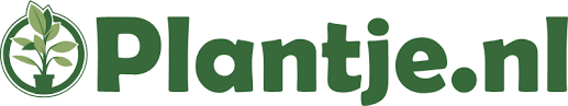 plantje.nl