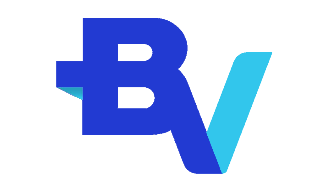 bv.com.br