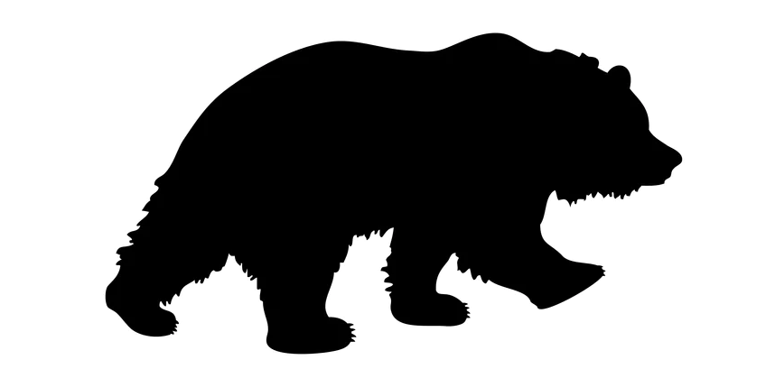 kodiakleather.com