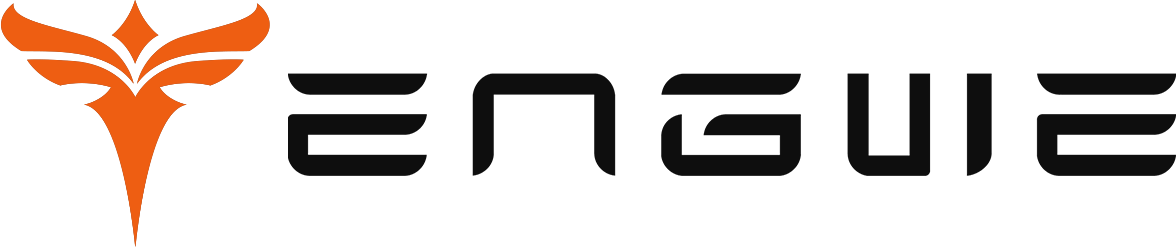 engwe-bikes.com