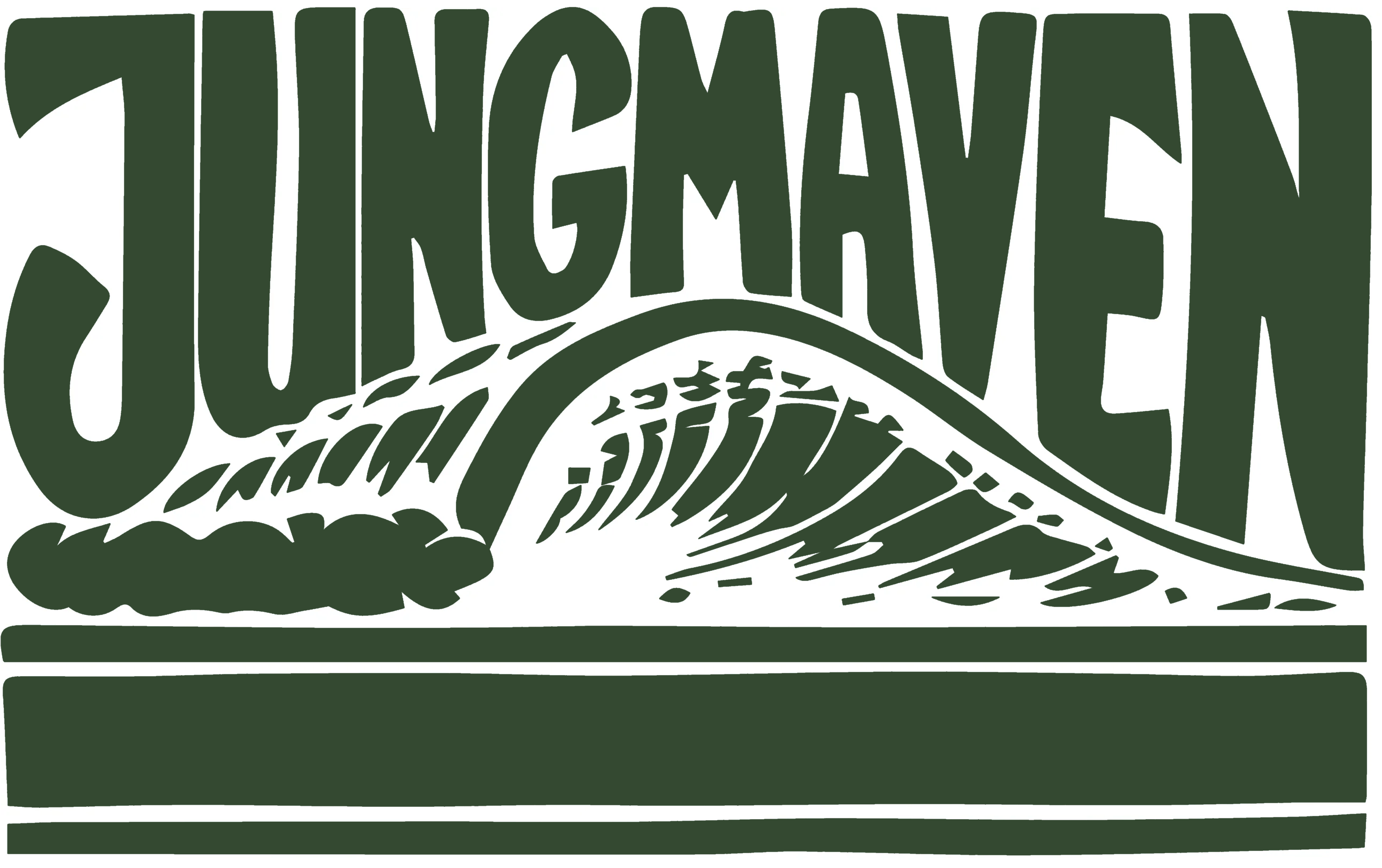 jungmaven.com