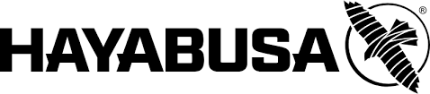 hayabusafight.com